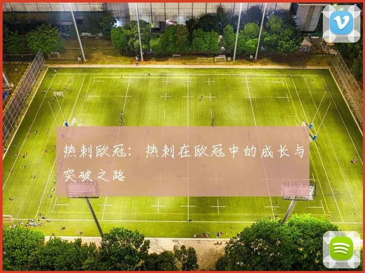热刺欧冠：热刺在欧冠中的成长与突破之路