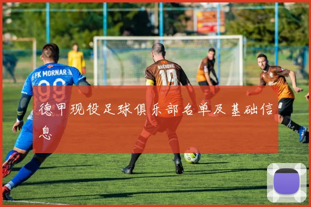 德甲现役足球俱乐部名单及基础信息