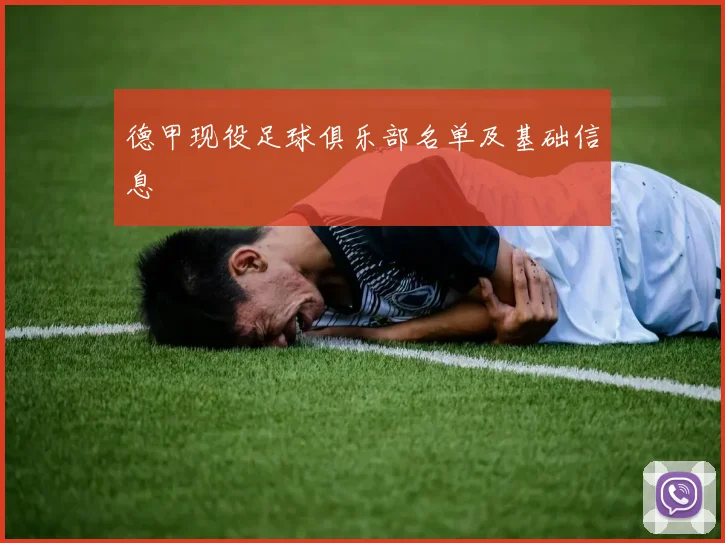 德甲现役足球俱乐部名单及基础信息