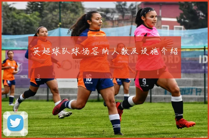 英超球队球场容纳人数及设施介绍