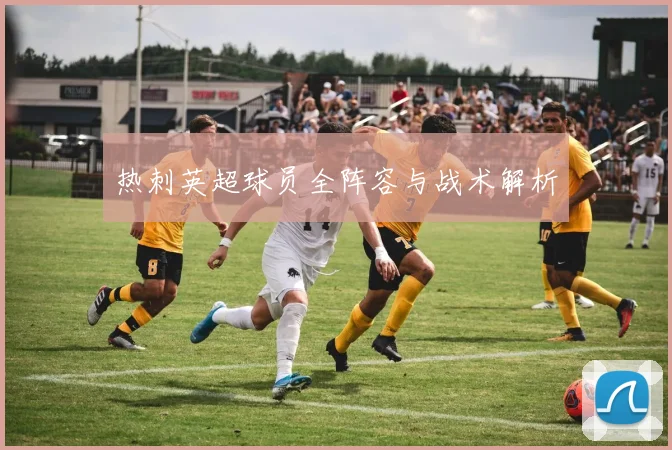 热刺英超球员全阵容与战术解析