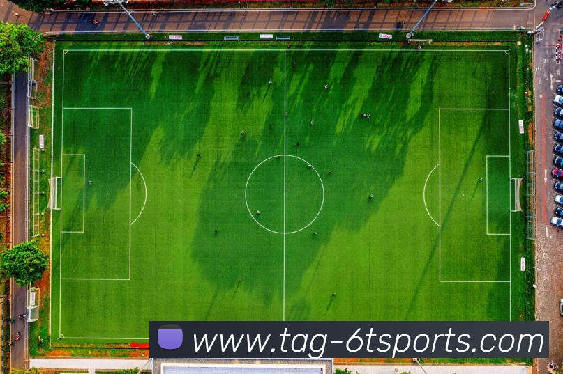 6T体育服务体系